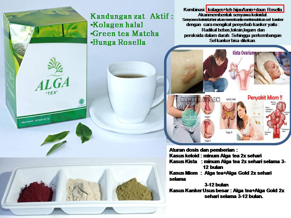 Penjual Alga Tea Herbal Kanker Terbaik Di Gresik